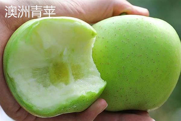 苹果有哪些常见品种，包括红富士、黄元帅、澳洲青苹等种类