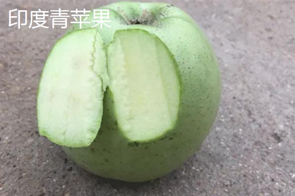 苹果有哪些常见品种，包括红富士、黄元帅、澳洲青苹等种类