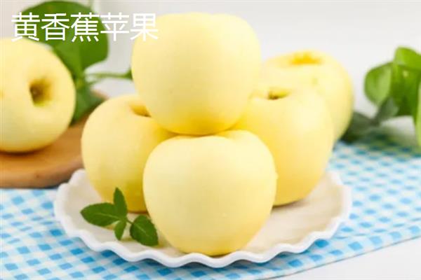苹果有哪些常见品种，包括红富士、黄元帅、澳洲青苹等种类
