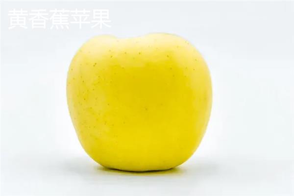 苹果有哪些常见品种，包括红富士、黄元帅、澳洲青苹等种类
