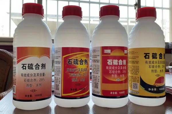 双喜红油桃怎么种植,理顺根系后再栽入穴中