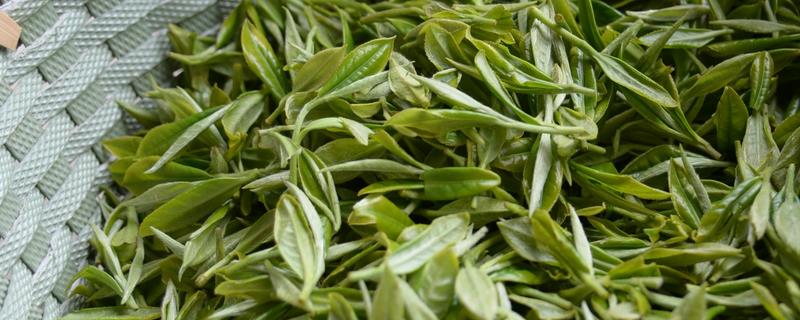 漳平水仙茶的特点是什么，会散发出水仙花香具有醇爽细润的滋味