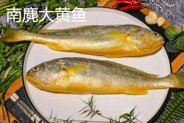 哪些地方产的黄花鱼好，宁德、象山和舟山产的为佳