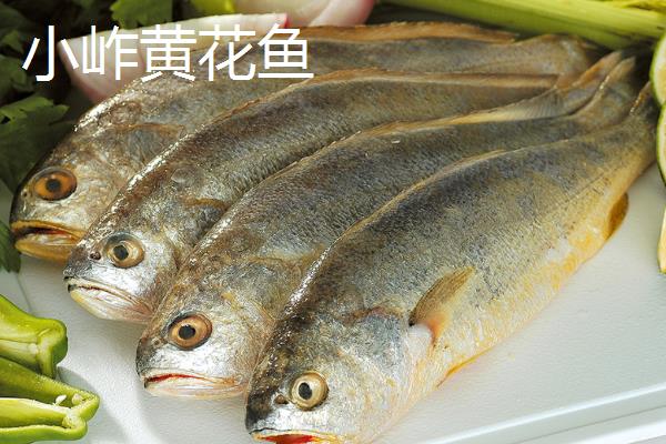 哪些地方产的黄花鱼好，宁德、象山和舟山产的为佳