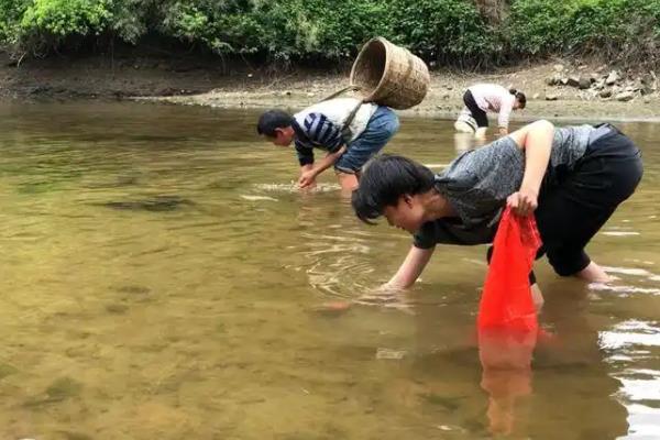 螺蛳是不是田螺，两者不属于同种生物