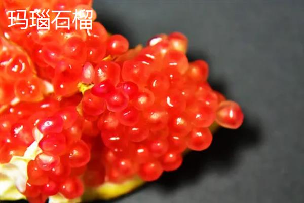 石榴苗的栽培方法，可压条育苗法、扦插育苗法等