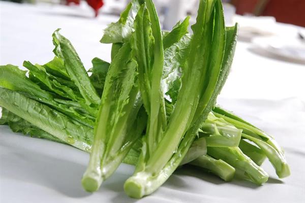 油麦菜的挑选方法，叶柄太多会影响口感