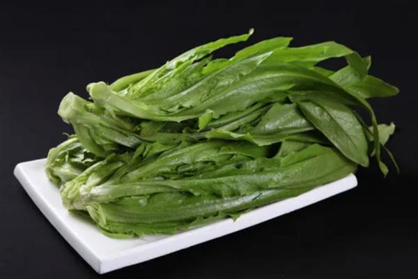 油麦菜的挑选方法，叶柄太多会影响口感