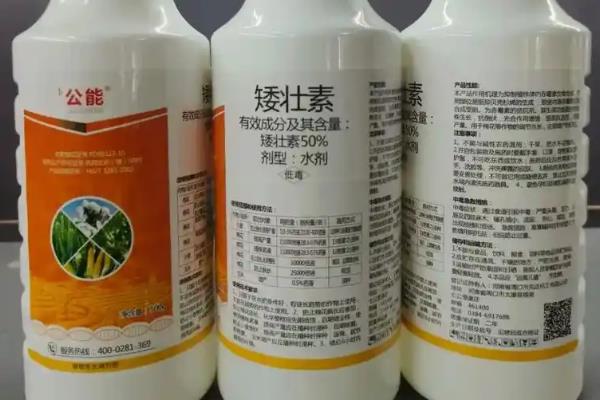 小麦缺素的症状，会导致叶片呈现蓝绿色
