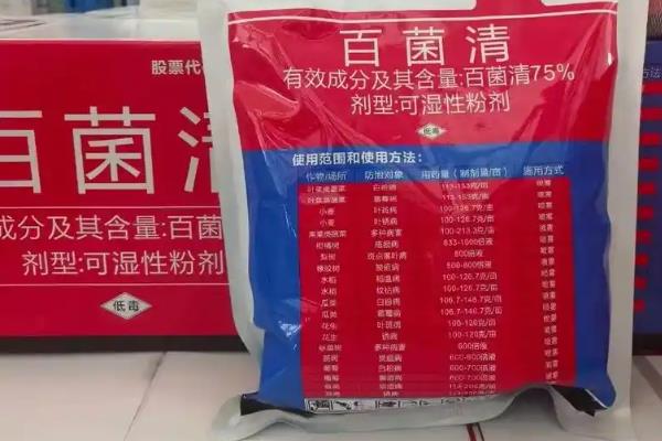 四季海棠如何播种,将种子混入细园土中进行撒播