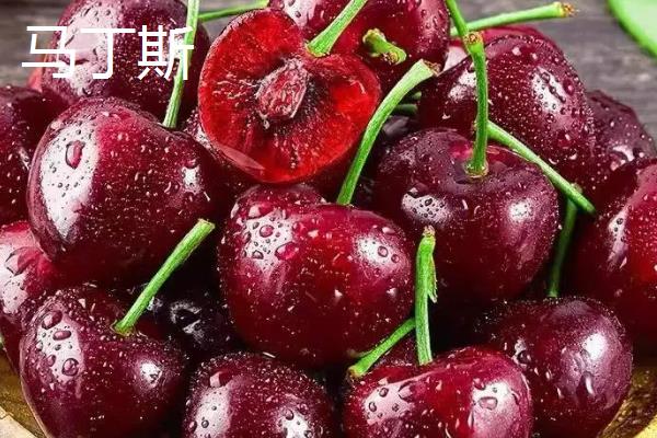 车厘子是樱桃吗，车厘子是樱桃