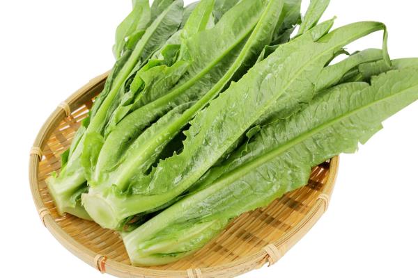 哪些蔬菜适合在夏天种植，生菜、韭菜、萝卜等品种均可栽培