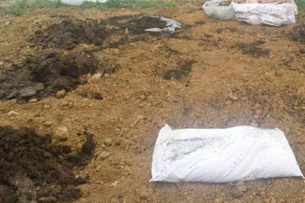 农家肥和有机肥能混用吗，农家肥和有机肥可以混用