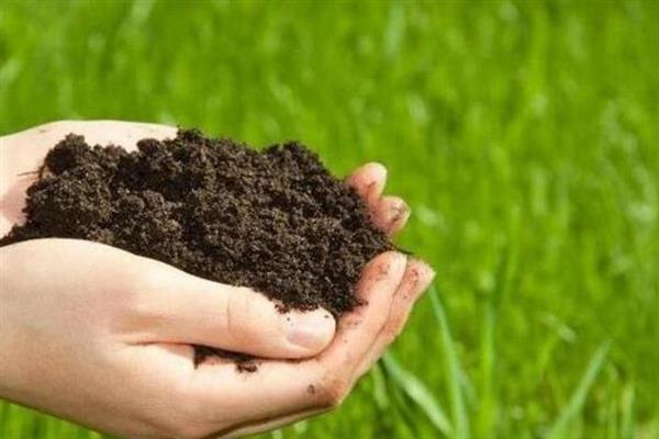 农家肥和有机肥能混用吗，农家肥和有机肥可以混用