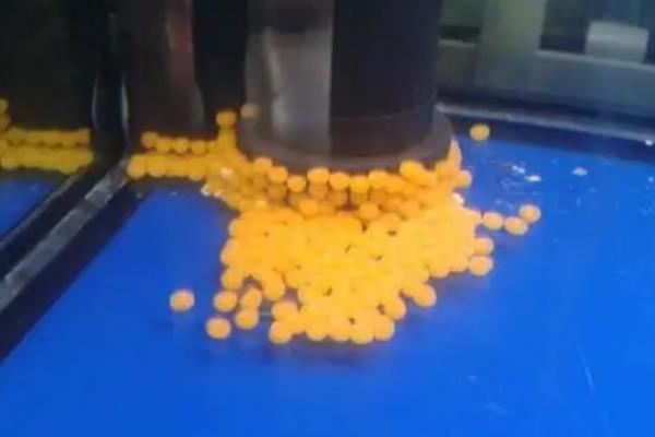 银龙鱼撞缸的原因，可能是受到惊吓或打架