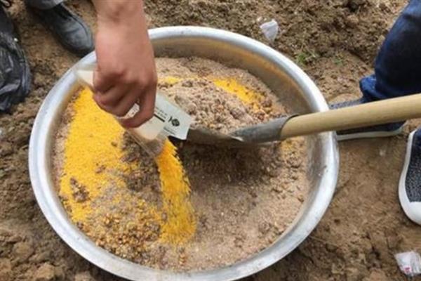 钓鲤鱼为何黑漂不中鱼，鱼群蹭线、调漂过灵、杂鱼闹窝等因素都会导致