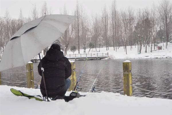 冬天钓鱼钓深还是钓浅，大多数情况下可直接钓深或钓底
