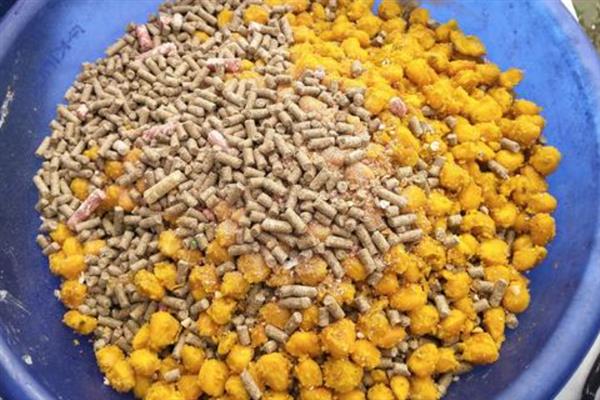 冬天钓鱼钓深还是钓浅，大多数情况下可直接钓深或钓底