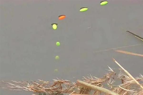 冬天钓鱼钓深还是钓浅，大多数情况下可直接钓深或钓底