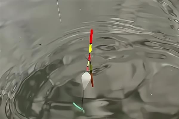 冬天钓鱼钓深还是钓浅，大多数情况下可直接钓深或钓底