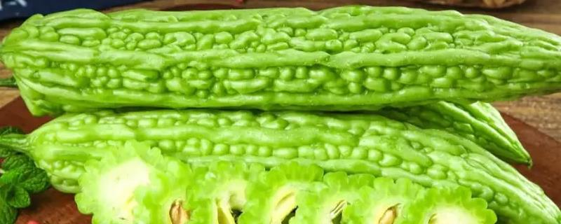 在家种苦瓜的方法，生长期间让土壤保持微湿