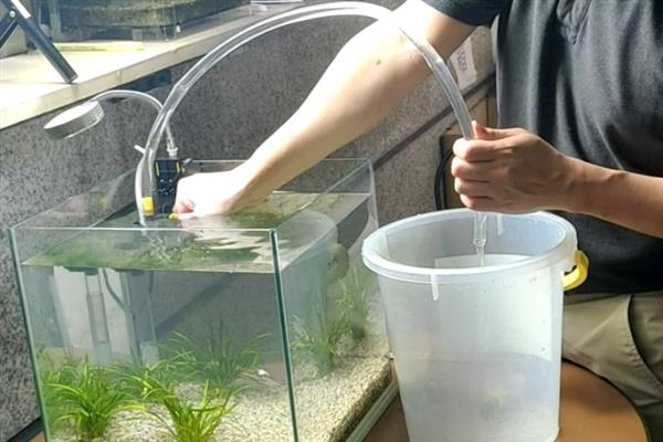 养鱼能用自来水吗，养鱼可以用自来水
