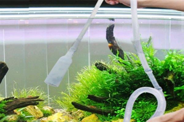 养鱼能用自来水吗，养鱼可以用自来水