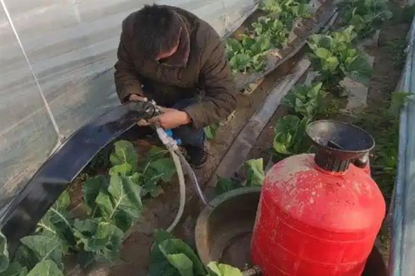 大棚西瓜多久浇一次水，7天左右浇1次水即可
