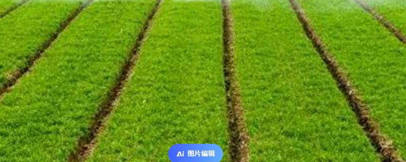 农业的四个部门是什么，分为种植业、畜牧业、林业、渔业