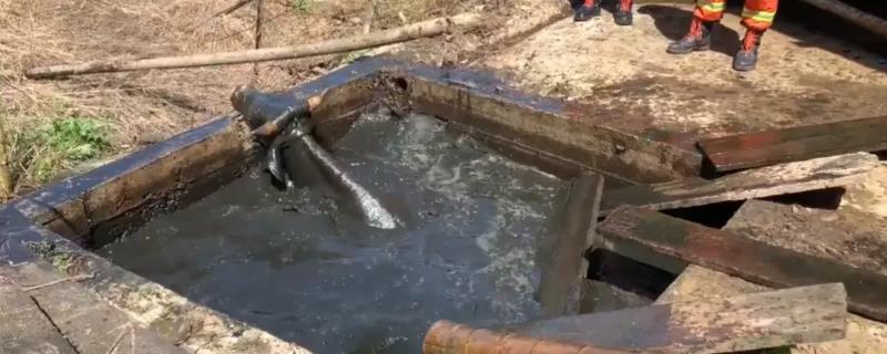 农村粪池怎么灭蛆，撒施石灰、喷施敌百虫等药物能起到灭除效果