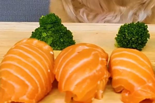 松狮吃什么，可以喂食天然的狗粮、肉类、水果等