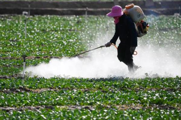防治亚麻斑点病的方法，清除病残体可减少病菌数量