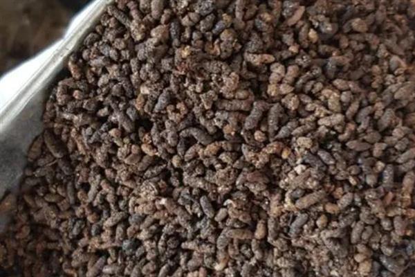蚕粪能不能当肥料养花，用水稀释后才能使用