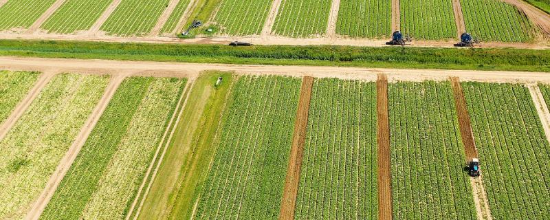 轮作的含义，是指在相同的田地中轮换种植不同的作物