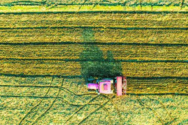 轮作的含义，是指在相同的田地中轮换种植不同的作物