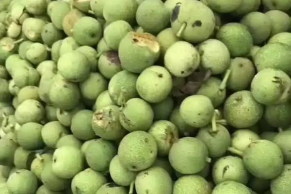 桃核能不能种出桃树，桃核能种出桃树