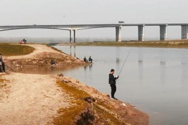 深秋适合在哪个位置钓鲫鱼，水草区、铧尖、洄湾均是适宜钓点