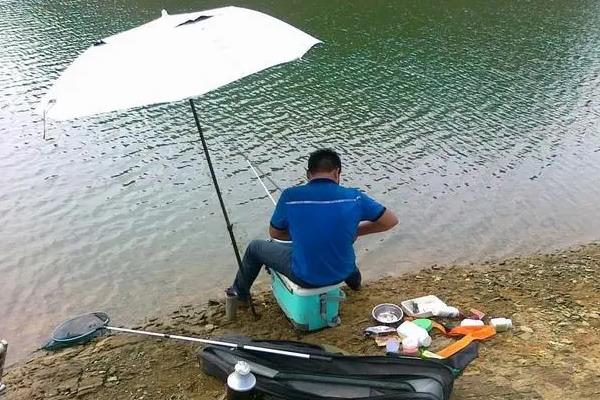 深秋适合在哪个位置钓鲫鱼，水草区、铧尖、洄湾均是适宜钓点