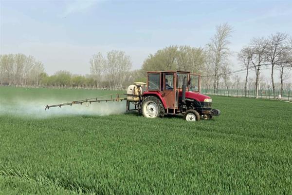 氯噻啉的特点，活性强且不受高温限制、害虫没有抗药性