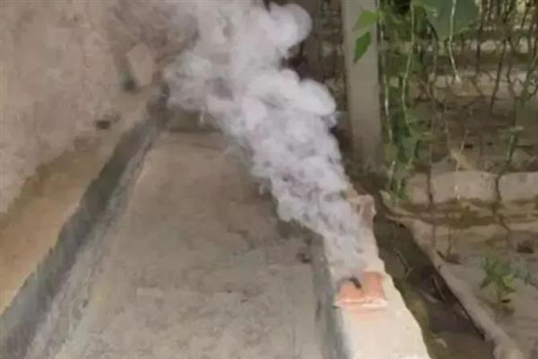 使用大棚烟雾剂的方法，确定燃放点之后再熏烟