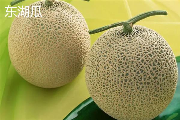 哈密瓜有什么品种，西州蜜、东湖瓜、红心脆等品种较常见