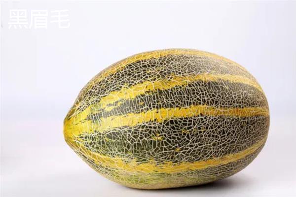 哈密瓜有什么品种，西州蜜、东湖瓜、红心脆等品种较常见