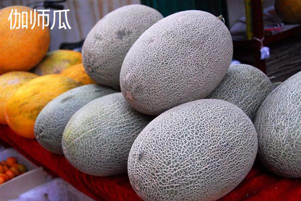 哈密瓜有什么品种，西州蜜、东湖瓜、红心脆等品种较常见