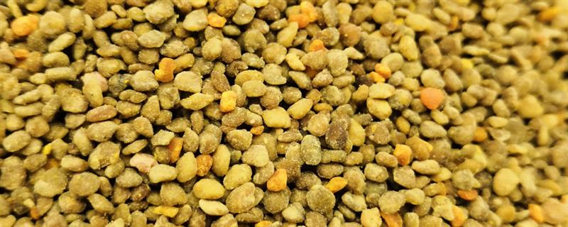 蜂花粉的种类，分为百花粉、油茶粉等