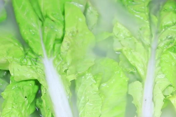 清洗蔬菜水果的农药残留的方法,可以使用醋、面粉、食盐浸泡