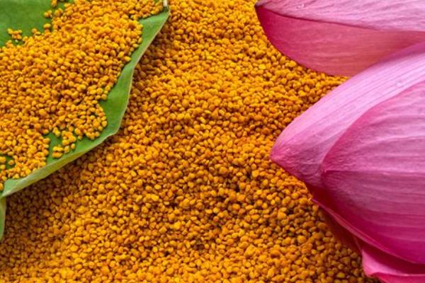 蜂花粉的种类，分为百花粉、油茶粉等