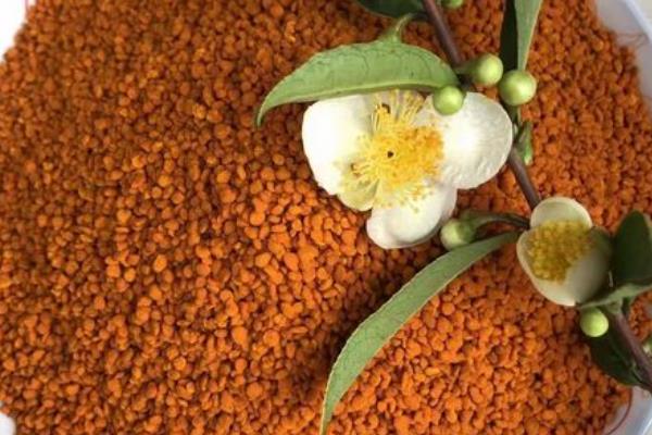 蜂花粉的种类，分为百花粉、油茶粉等
