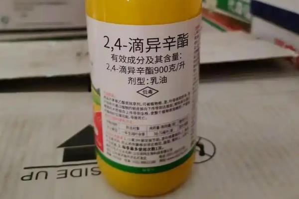 提高番茄坐果率的方法，疏除过小果和畸形果可减少养分消耗