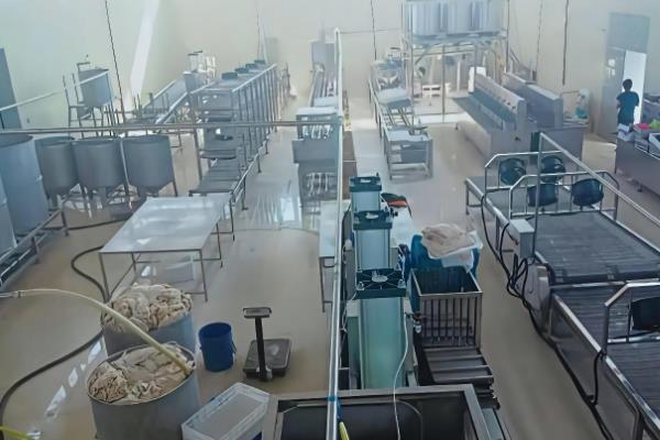有什么值得推荐的加工厂项目，豆制品深加工、农副产品深加工等项目可以考虑