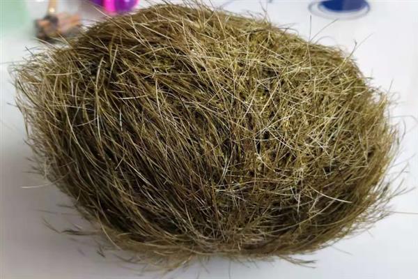 猪砂是猪的哪个位置，在猪胆囊、胆管、肝管等脏器中